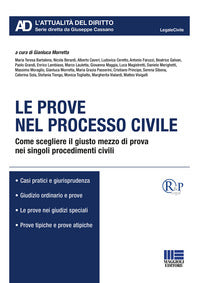 Prove nel processo civile - come scegliere il giusto mezzo di prova nei singoli procedimenti civili 