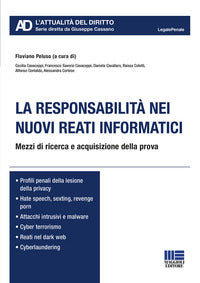Responsabilita' nei nuovi reati informatici - mezzi di ricerca e acquisizione della prova 