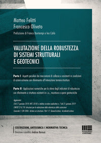 Valutazione della robustezza di sistemi strutturali e geotecnici 