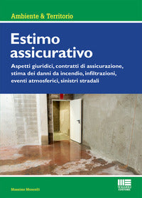 Estimo assicurativo - aspetti giuridici contratti di assicurazione stima dei danni da incendio 