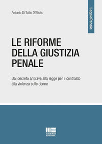 Riforme della giustizia penale - dal decreto antirave alla legge per il contrasto alla violenza 