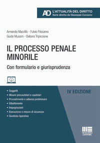 Processo penale minorile 