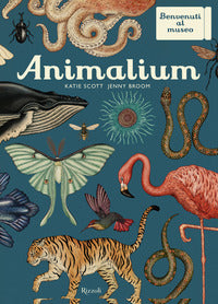 Animalium 