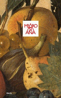 Guide to the pinacoteca ambrosiana 