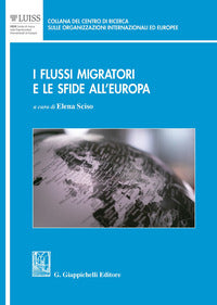 Flussi migratori e le sfide all'europa 