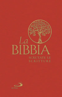 Bibbia - scrutate le scritture - cartonata 