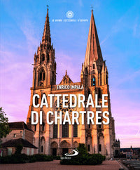 Cattedrale di chartres 