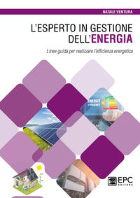 Esperto in gestione dell'energia 