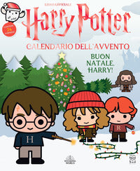 Harry potter calendario dell'avvento - buon natale harry ! 