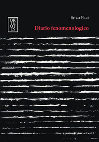 Diario fenomenologico 