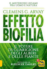 Effetto biofilia - il potere di guarigione degli alberi e delle piante 