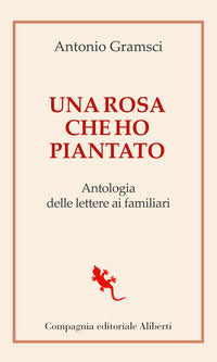 Rosa che ho piantato - antologia delle lettere ai famigliari 