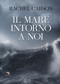 Mare intorno a noi 
