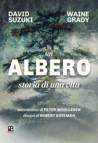 Albero - storia di una vita 