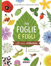Tra foglie e fogli - il mio erbario 