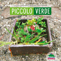 Piccolo verde 