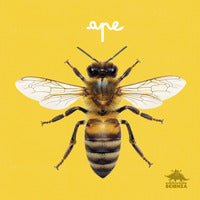 Ape - primi libri fotografici per osservare la natura da vicino ! 