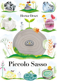 Piccolo sasso 
