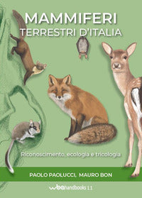 Mammiferi terrestri d'italia - riconoscimento ecologia e tricologia 