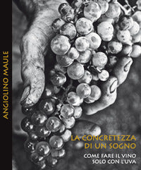Concretezza di un sogno - come fare il vino solo con l'uva 