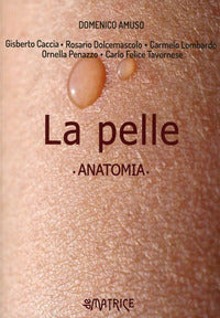 Pelle - anatomia 