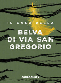 Caso della belva di via san gregorio 