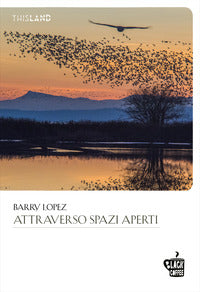 Attraverso spazi aperti 