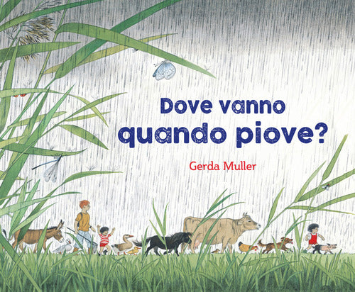 Dove vanno quando piove ? 