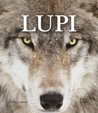 Lupi 