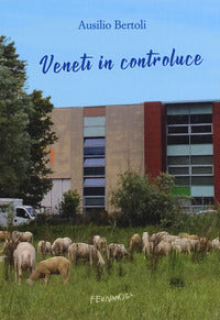 Veneti in controluce 