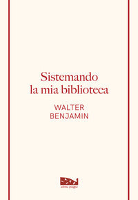 Sistemando la mia biblioteca 