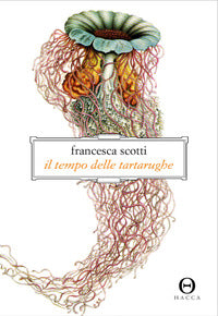 Tempo delle tartarughe 