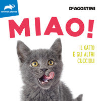 Miao ! il gatto e gli altri cuccioli 