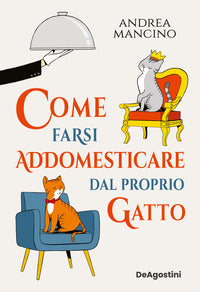 Come farsi addomesticare dal proprio gatto 