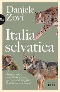 Italia selvatica - storie di orsi lupi gatti selvatici cinghiali lontre sciacalli dorati linci 
