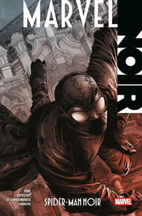 Spider man noir 