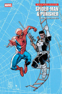 Spiderman e punisher - web of heroes collection 