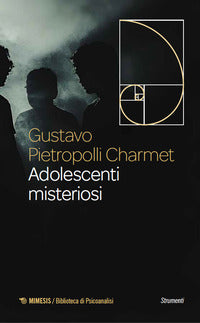 Adolescenti misteriosi 