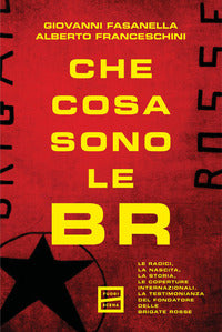 Che cosa sono le br - le radici la nascita la storia le coperture internazionali 