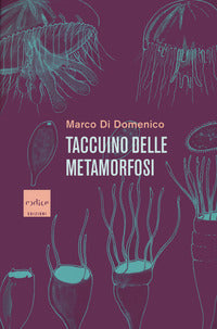 Taccuino delle metamorfosi 