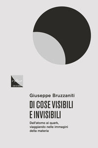 Di cose visibili e invisibili - dall'atomo al quark viaggio nelle immagini della materia 