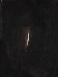 Anish kapoor 