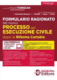 Formulario ragionato del nuovo processo dell'esecuzione civile dopo la riforma cartabia 
