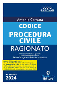 Codice di procedura civile 2024 ragionato 