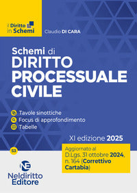 Schemi di diritto procedura civile - aggiornato al decreto correttivo cartabia d.lgs. 31 ottobre 