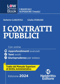 Contratti pubblici 2024 