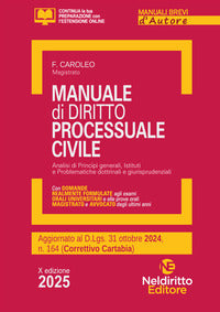 Manuale di diritto processuale civile 