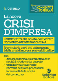 Nuova crisi di impresa - commento alle novita' del nuovo decreto correttivo ter settembre 2024 
