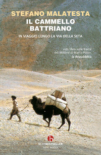 Cammello battriano - in viaggio lungo la via della seta 