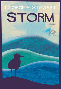 Storm 